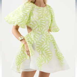 Aje Sculptra Botanical Appliqué Dress size 6 Au (2 Us)